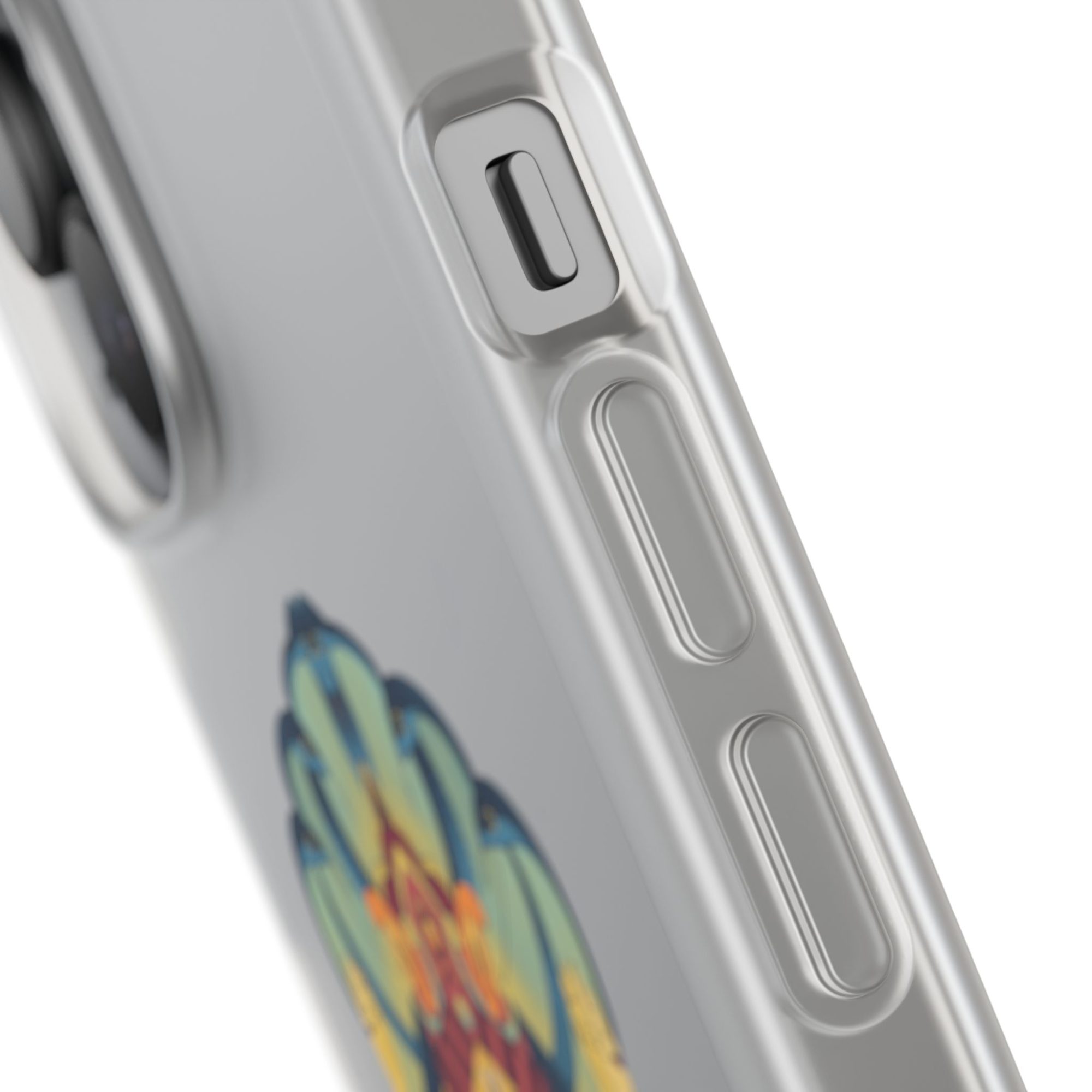 Kevala Narasimha / Transparent Case