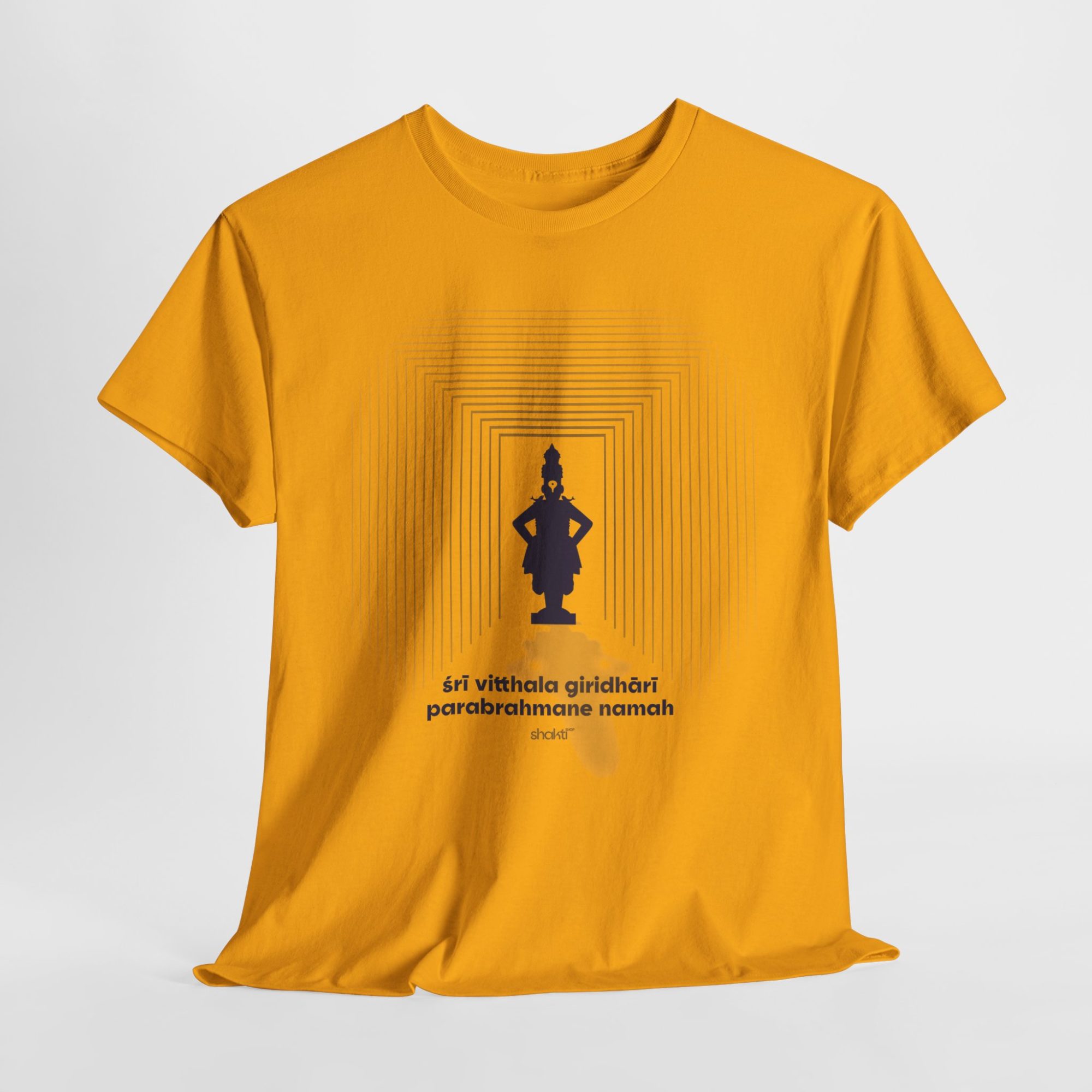Sri Vitthala Door of Grace / Unisex T-shirt