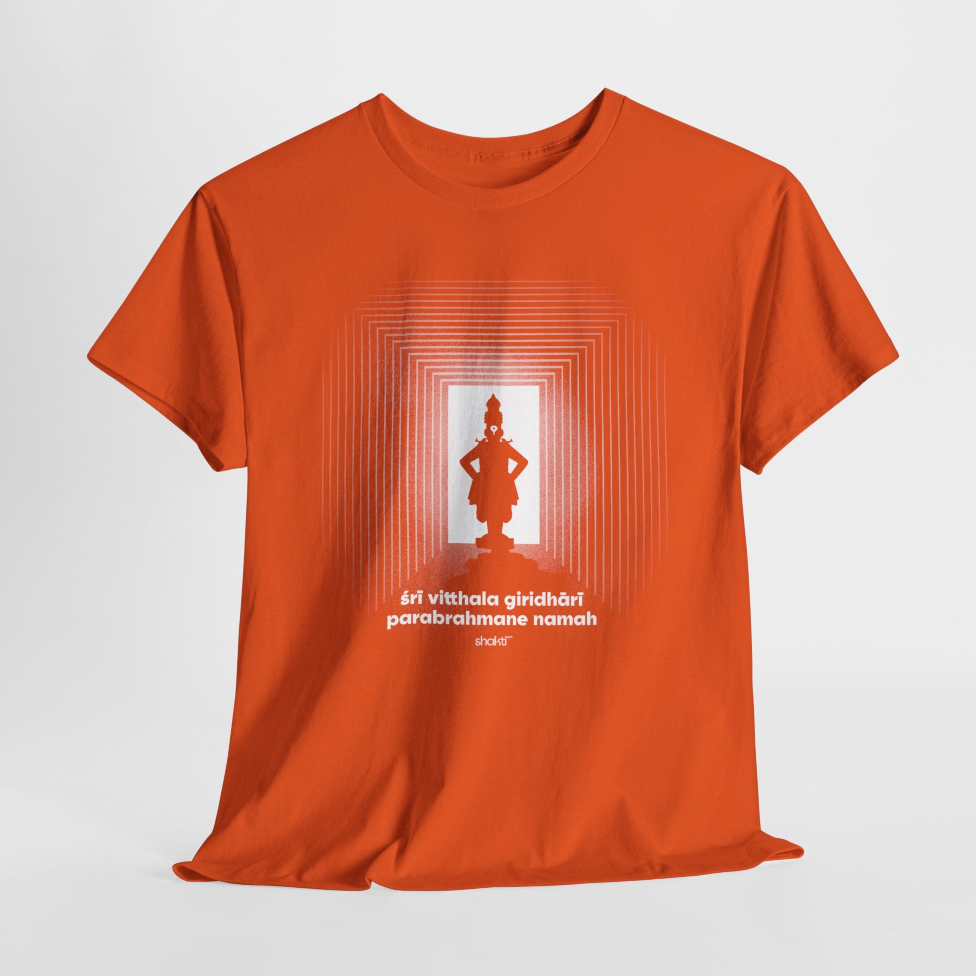 Sri Vitthala Door of Grace / Unisex T-shirt